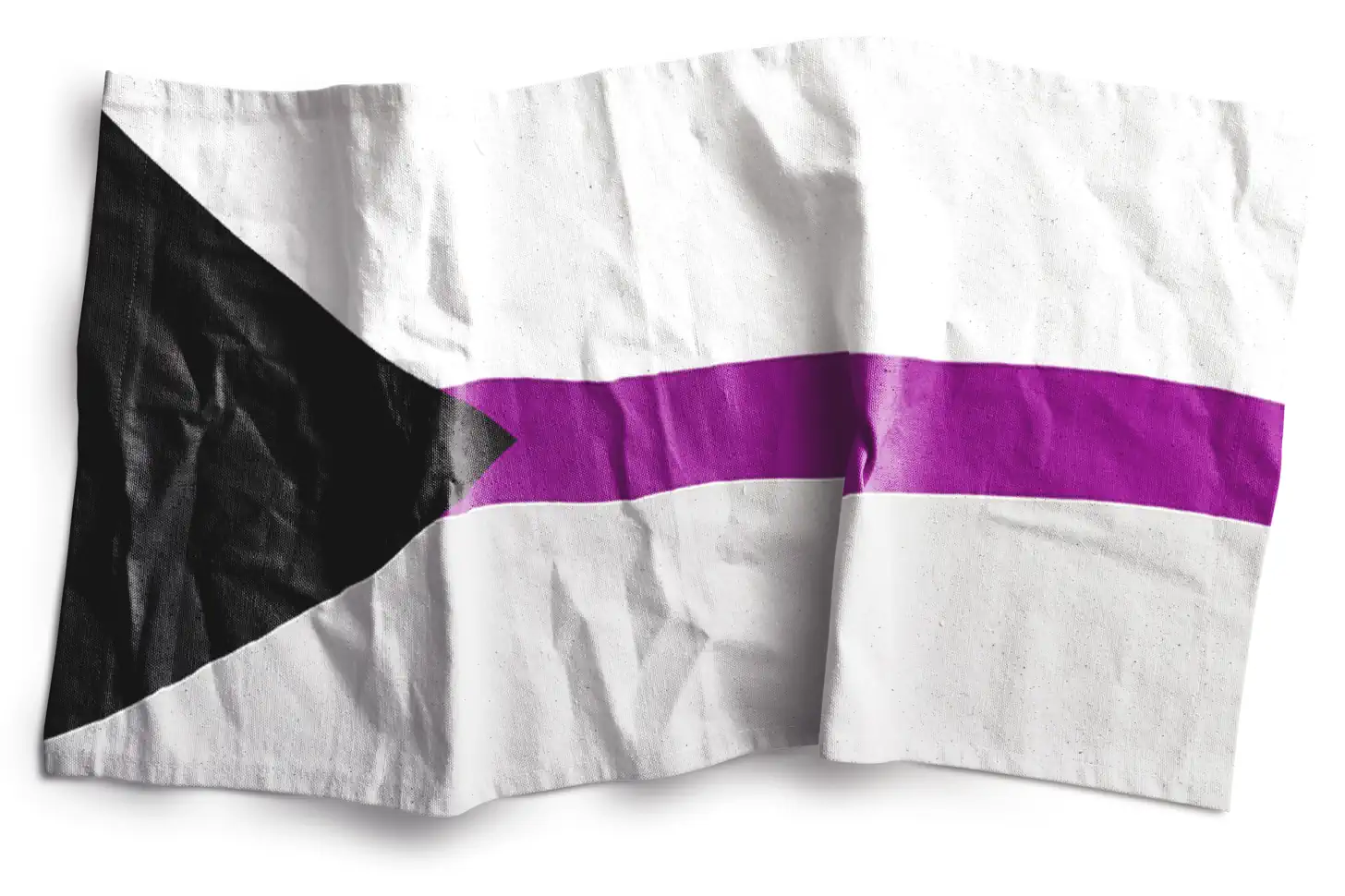 25 LGBTQ Pride Flags Their Meanings 25-lgbtq-pride-flags-their-meanings